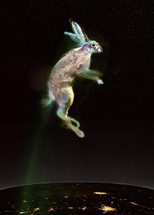 Vincent rises in the stratosphere, over night-cities, on a line of zodiacal light - last astronaut of the Rex Hares by Judith Nangala Crispin 
