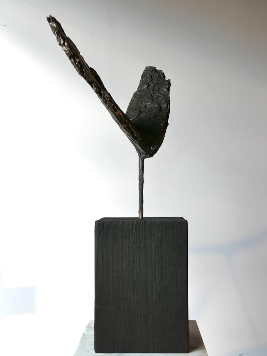 Meditations on the Icarus Effect III by Thomas Bucich 