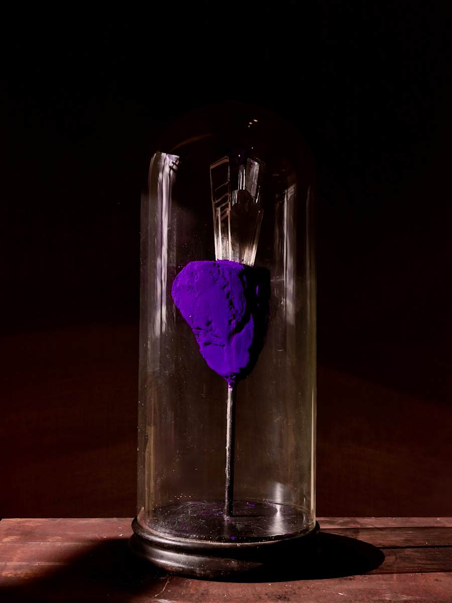 Sovereign by Thomas Bucich 