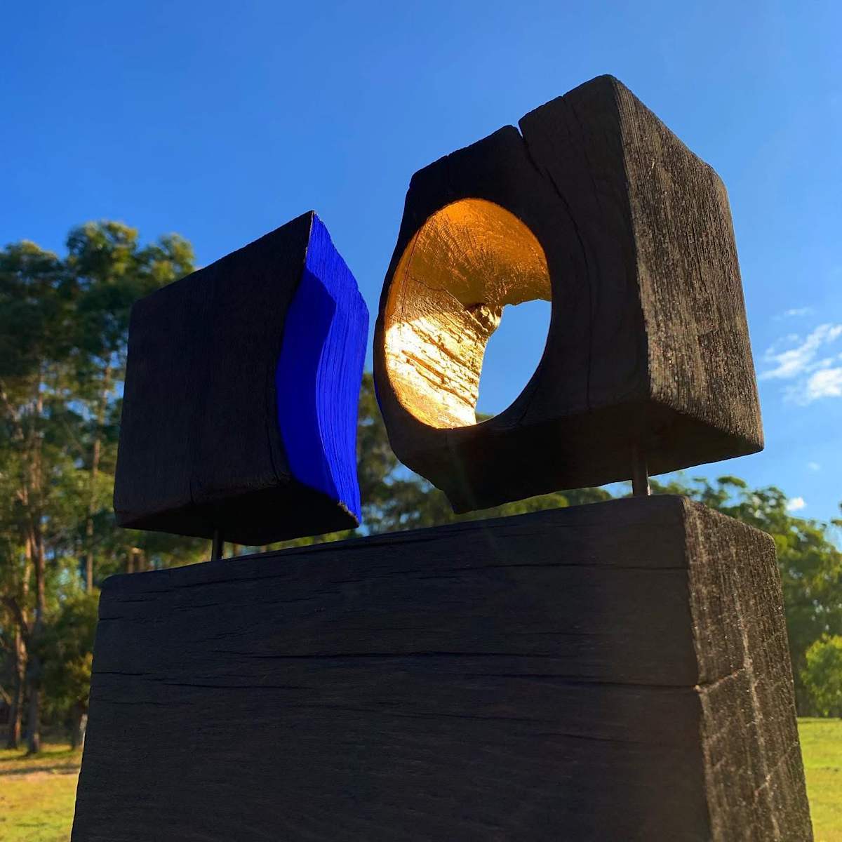 Illumination by Thomas Bucich 