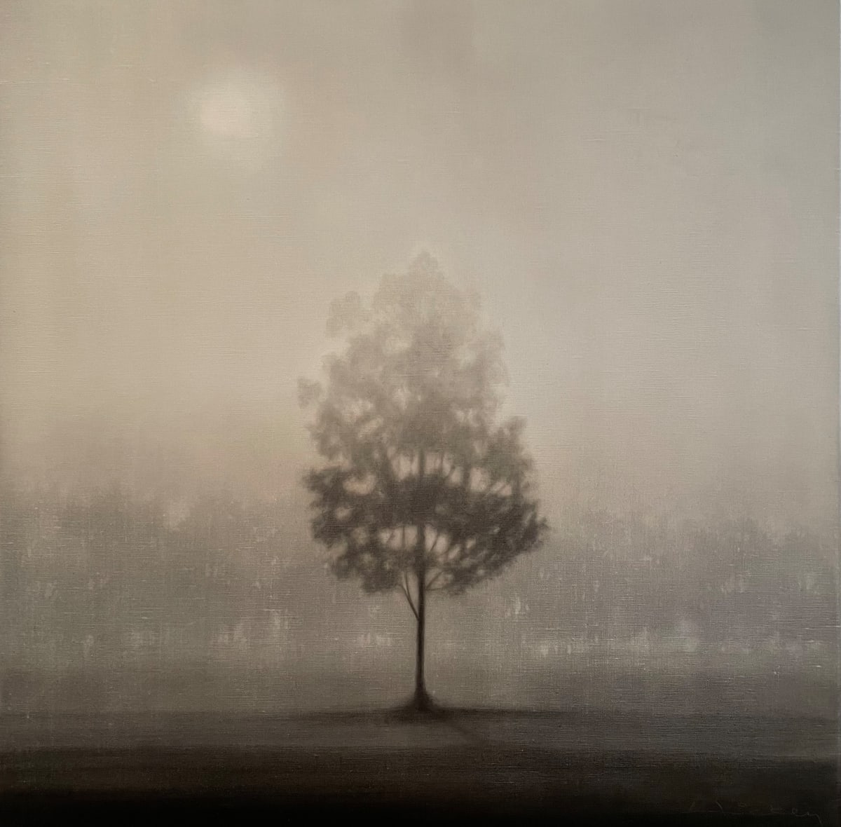 Morning Sunlight by Peter Hickey 