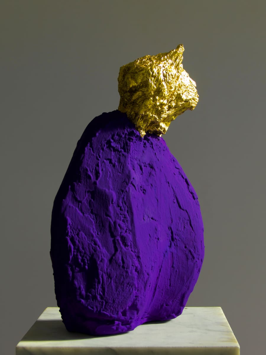 The Cloak by Thomas Bucich 