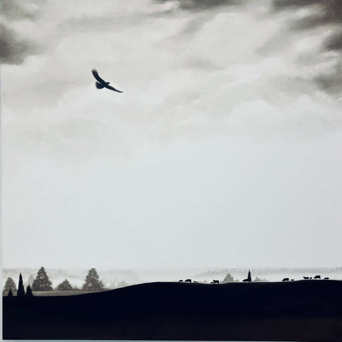 The Wedge Tail by Peter Hickey 