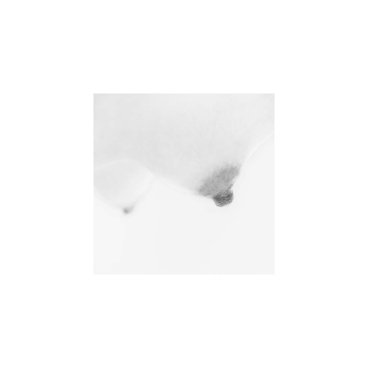 Nude XI by Jacinta Tomyn 