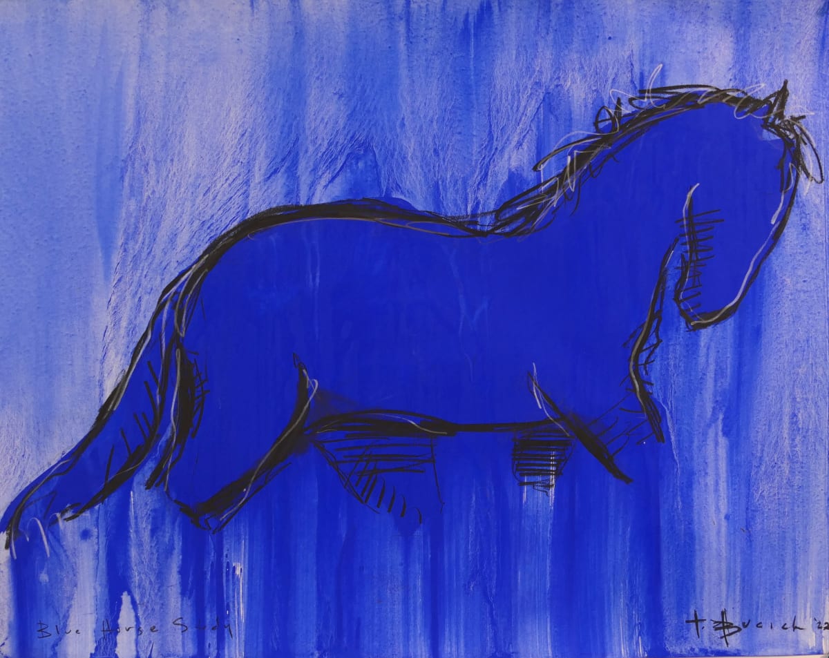 Blue Horse Study by Thomas Bucich 