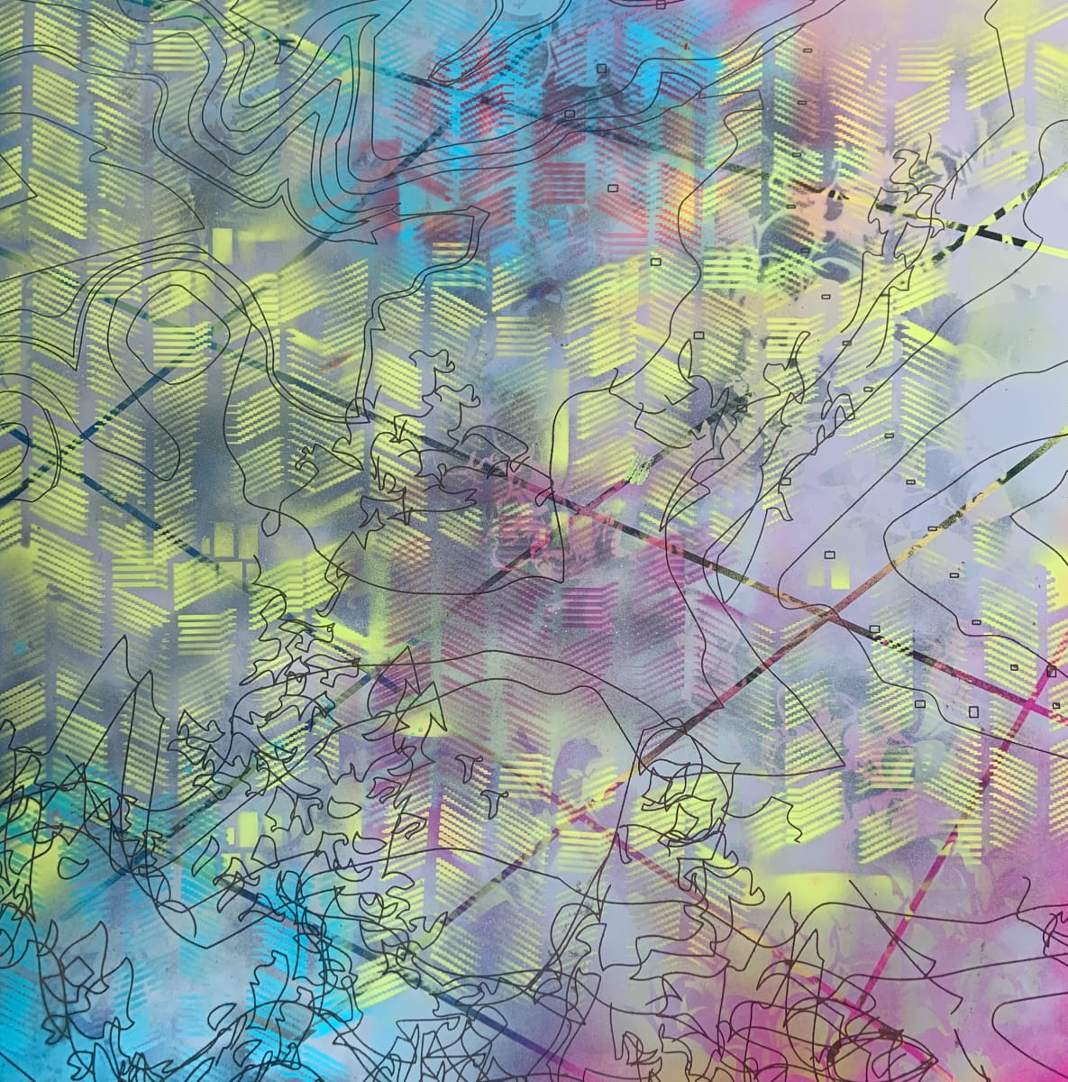 Land Lines by Ann Tarantino 