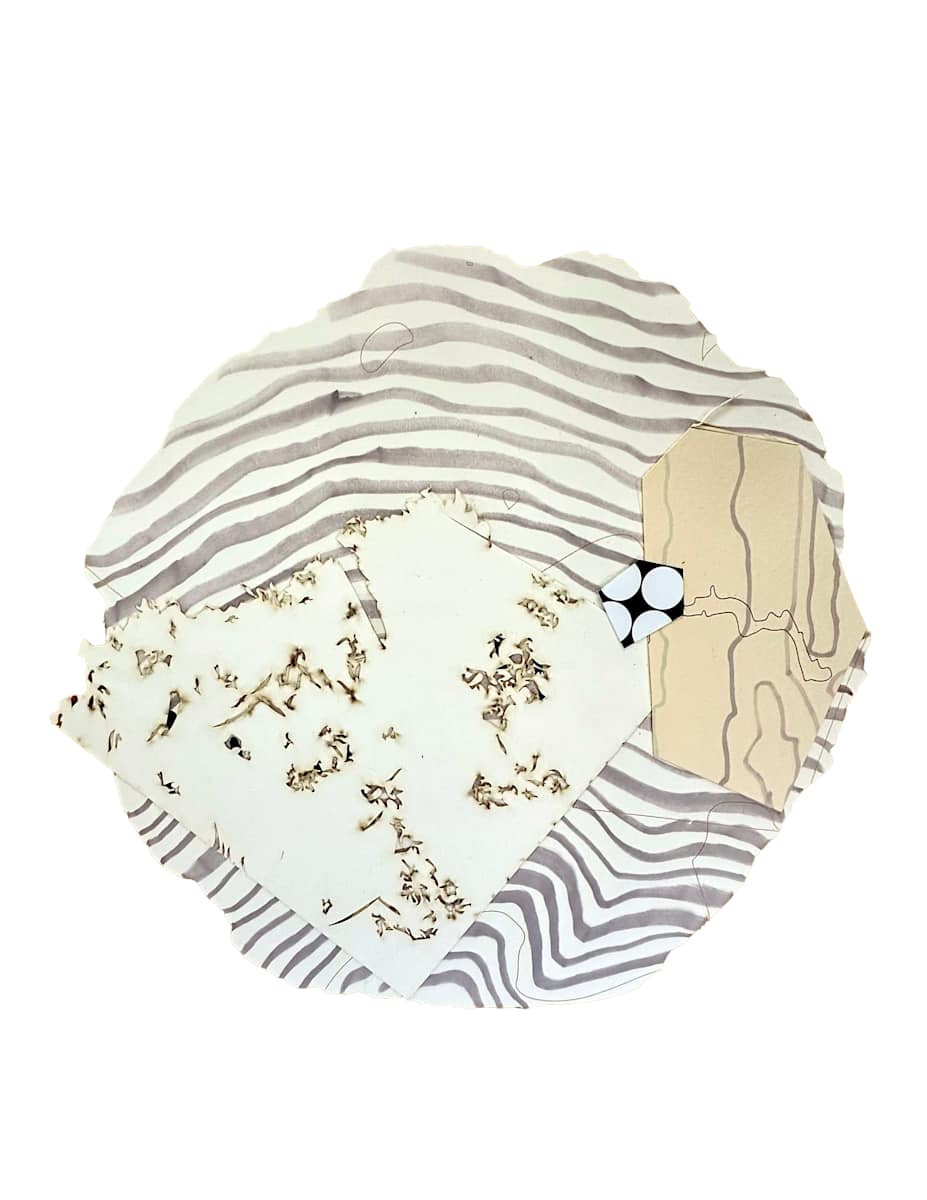 Diameters 9 by Ann Tarantino, Image 15.