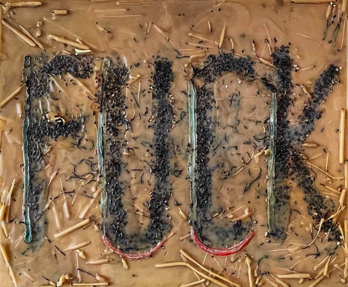 Burned the Last Fuck by Amanda Jolley 