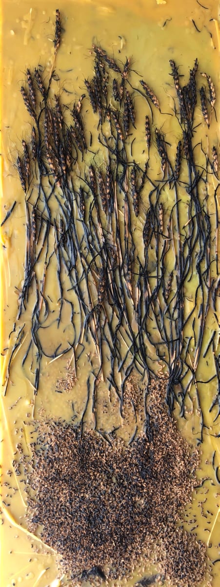 Extinguishing Seeds by Amanda Jolley 