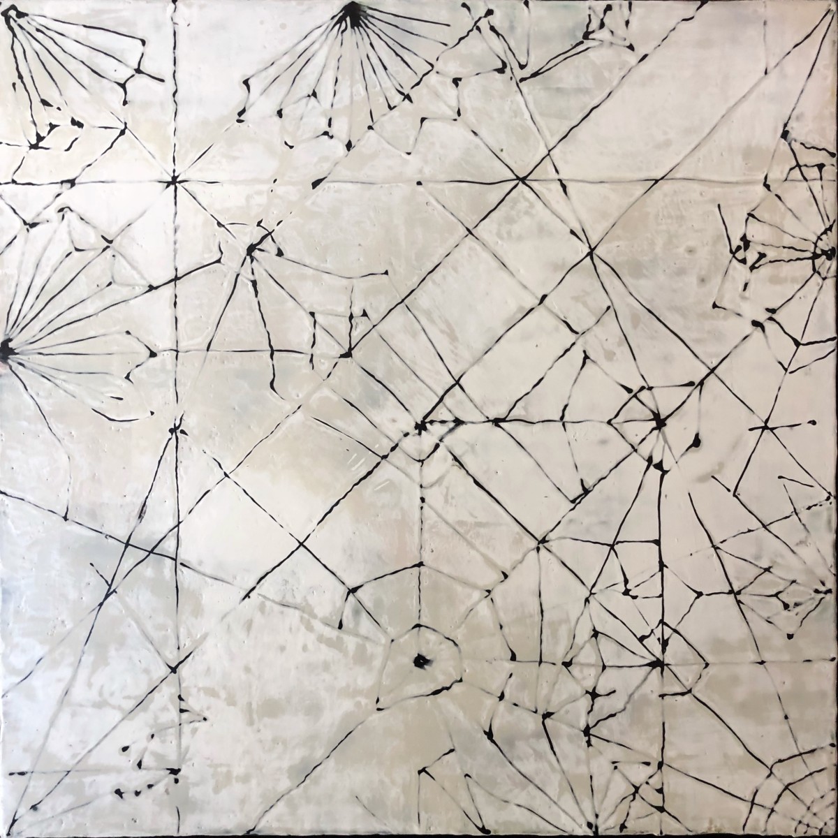 White Bison   by Amanda Jolley 