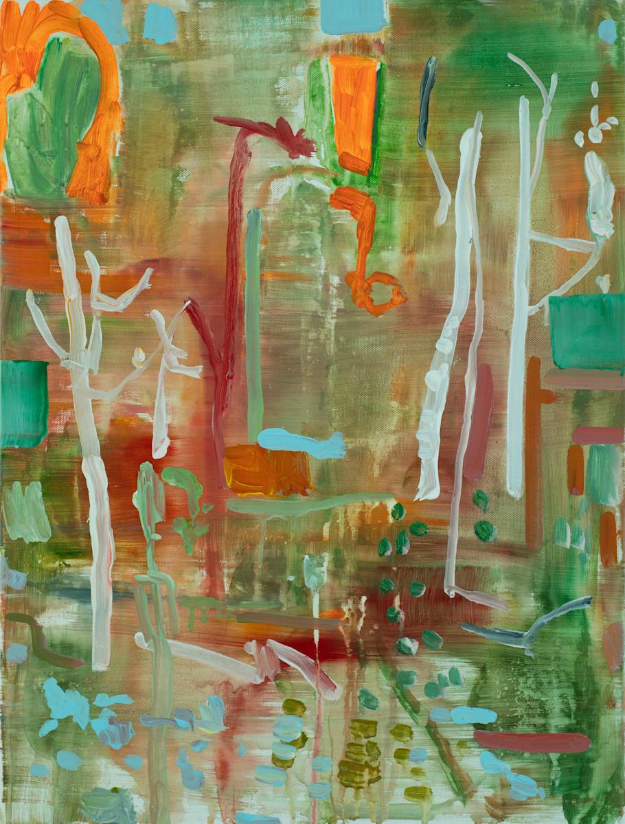 Birch Trees Bear Head Lake by Brian Frink 