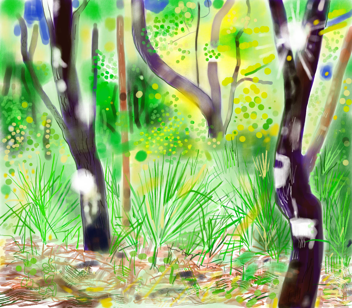 Trees Hunting Island by Brian Frink 