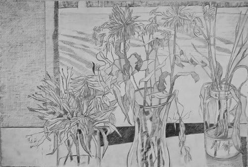 Still Life and Field 