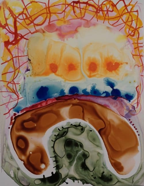 That Freaking Crazy Amazing Sun by Brian Frink, Image 1.