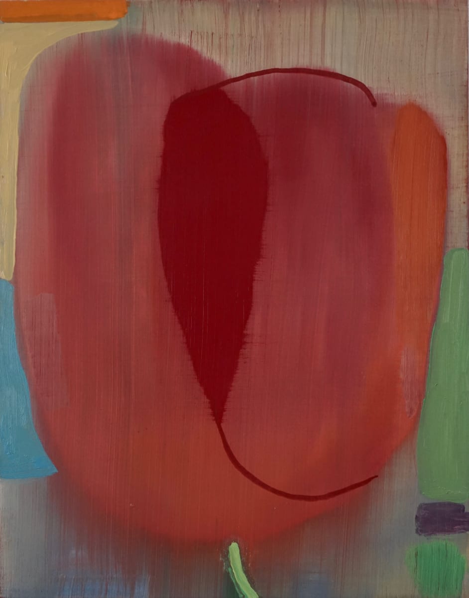 A Single Tulip 