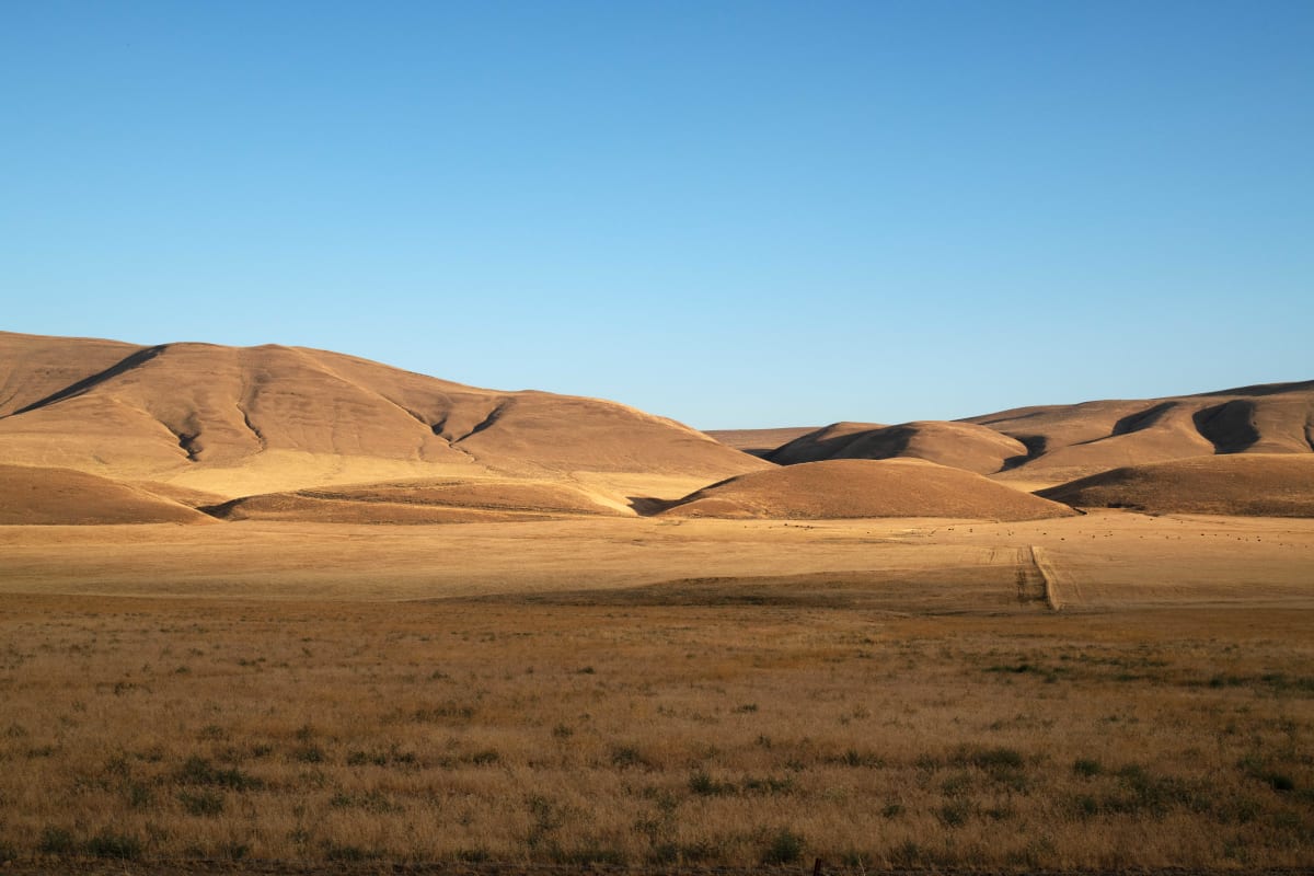 Hills in Washington by Brian Frink 