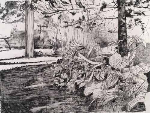 Hosta Bed Late Summer by Brian Frink, Image 1.