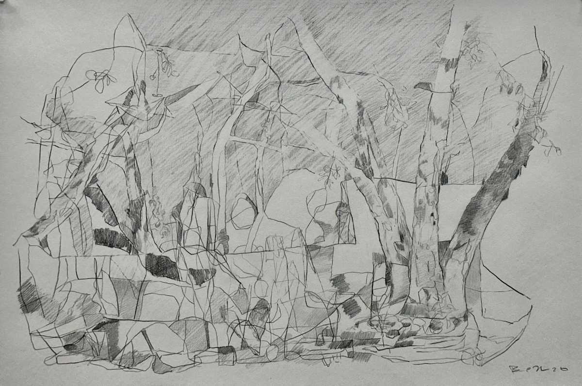 Front Yard by Brian Frink, Image 1.