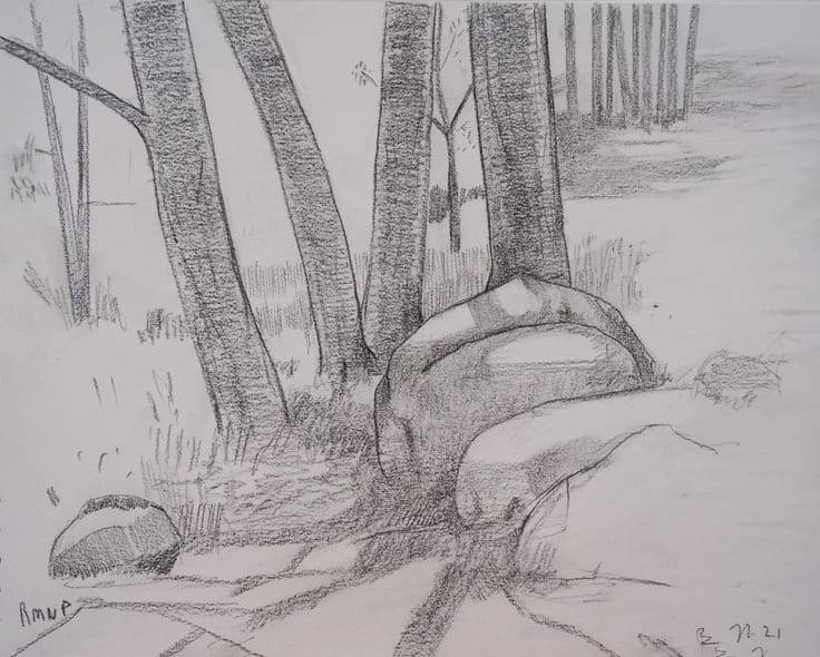 Trees and Rocks by Brian Frink, Image 1.
