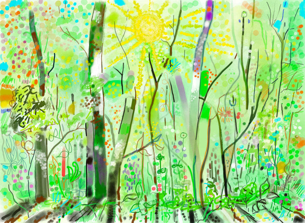 Sunlight Bursting Through the Trees by Brian Frink 