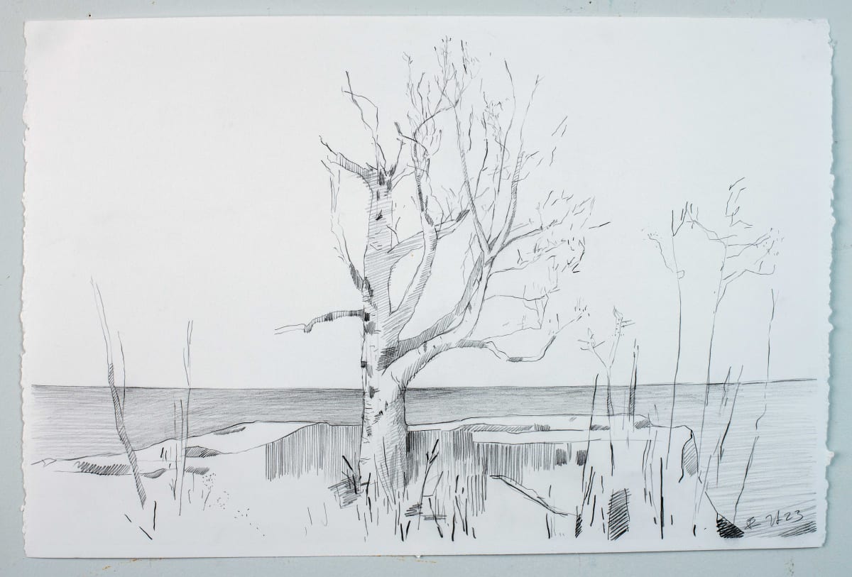 Tree by Lake Superior by Brian Frink, Image 1.