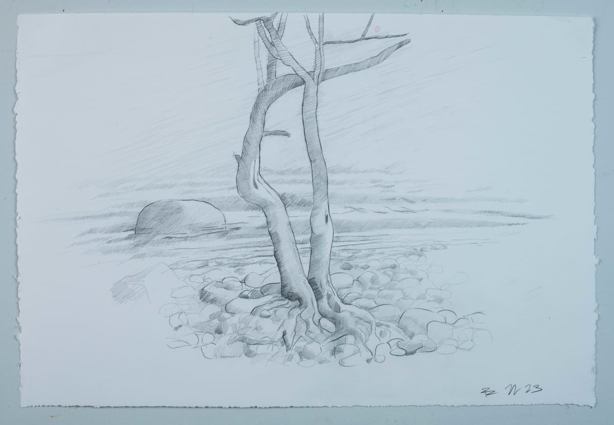 Two Trees Grand Marais by Brian Frink, Image 1.