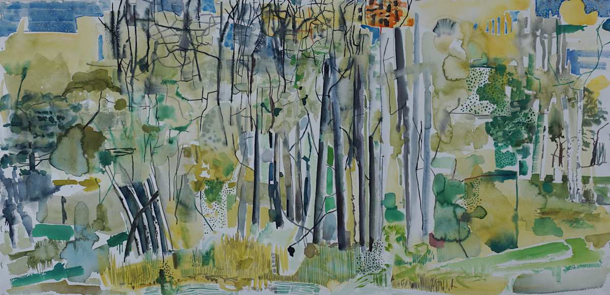 Jack Pine and Birch by Brian Frink, Image 1.