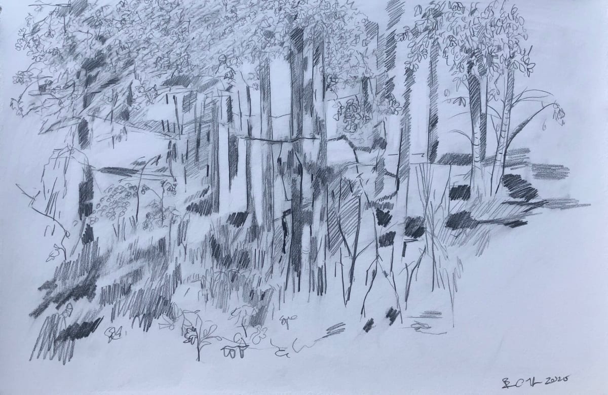 Woods by Brian Frink, Image 1.