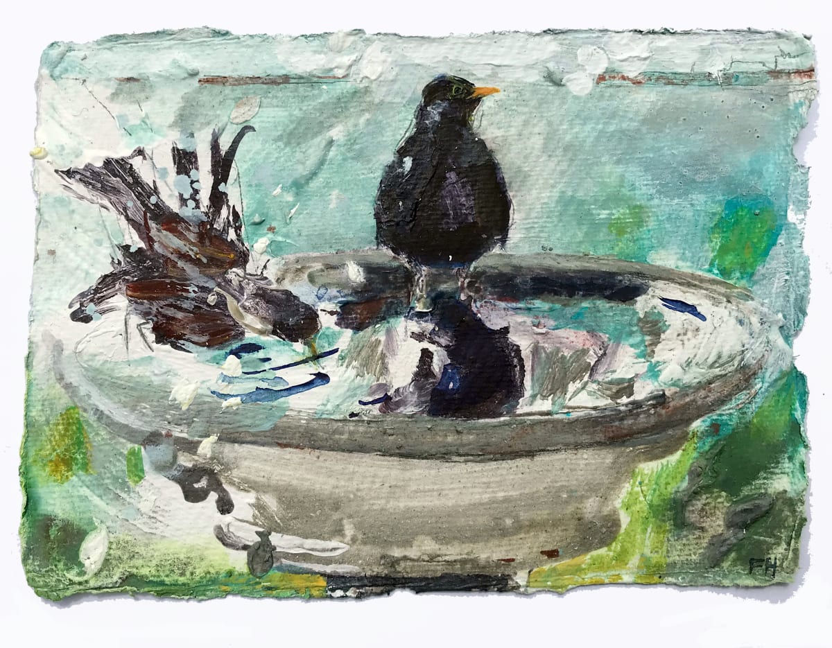BLACKBIRDS BATHING by Frances Hatch  Image: A male and female enjoying the bird bath. 