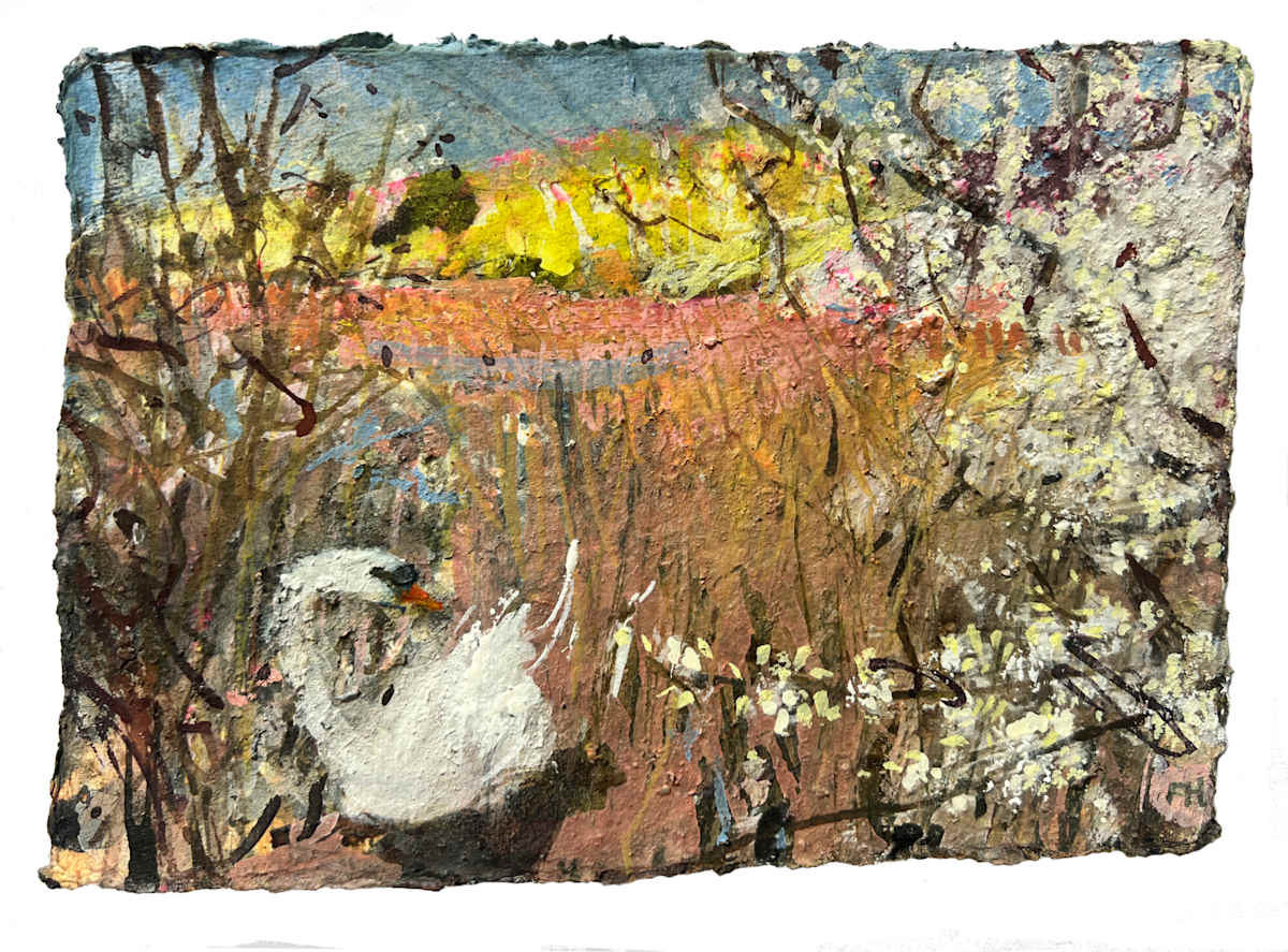 BLACKTHORN FROTH WITH SWAN. Lodmoor Nature Reserve, Dorset. by Frances Hatch, Image 1.