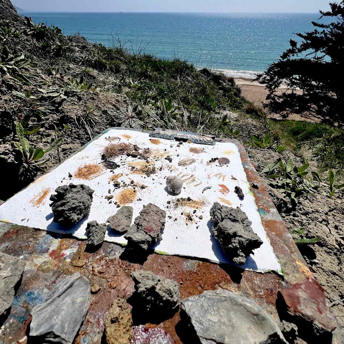 Hero image for SENSING PLACE- Jurassic Coast .