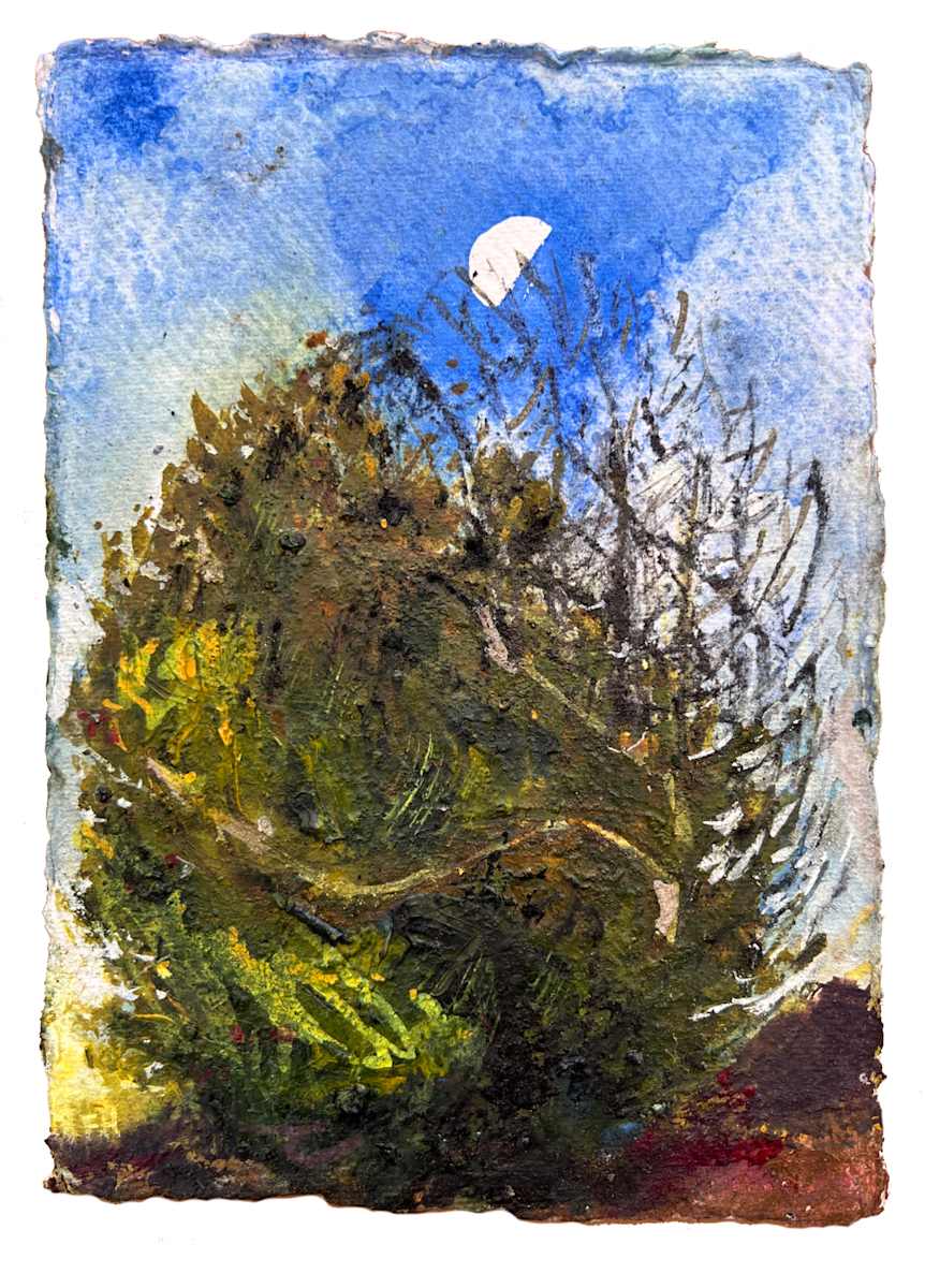 Holly Undermoon by Frances Hatch 