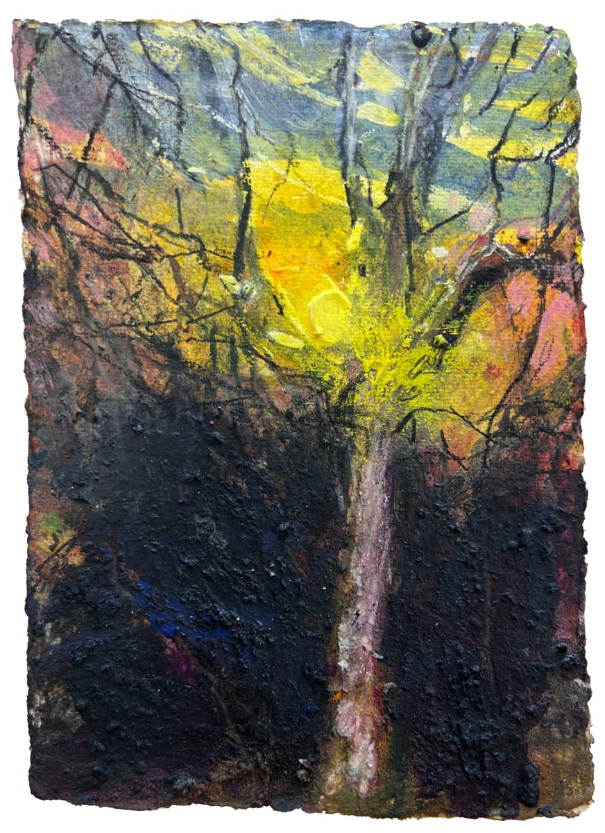 SUN MELTS INTO  SILVER  BIRCH by Frances Hatch 