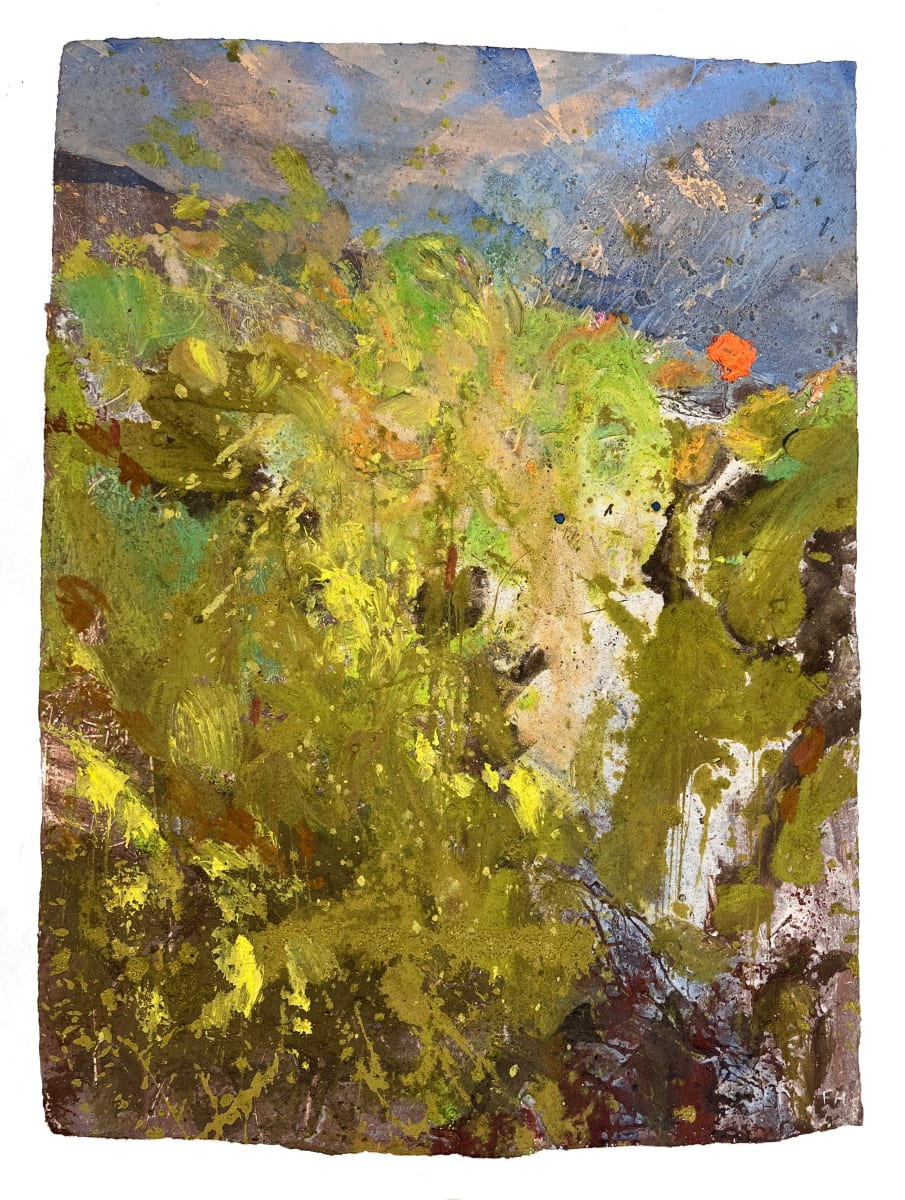 TANGERINE DREAM. Spring. Corfe Castle, Dorset. by Frances Hatch  Image:  East Hill above Sandy Hill Lane,