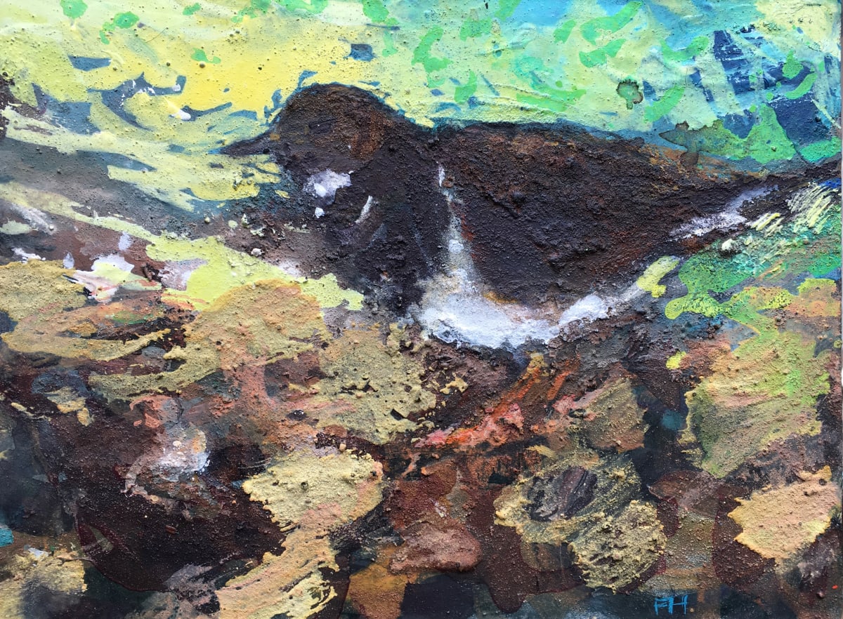TURNSTONE AT DAWN, Sidmouth by Frances Hatch 