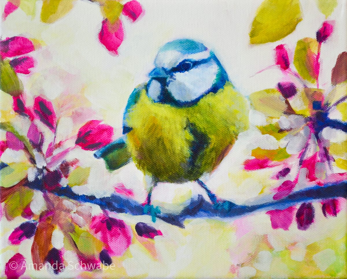 Bright Little Bird by Amanda Schwabe 