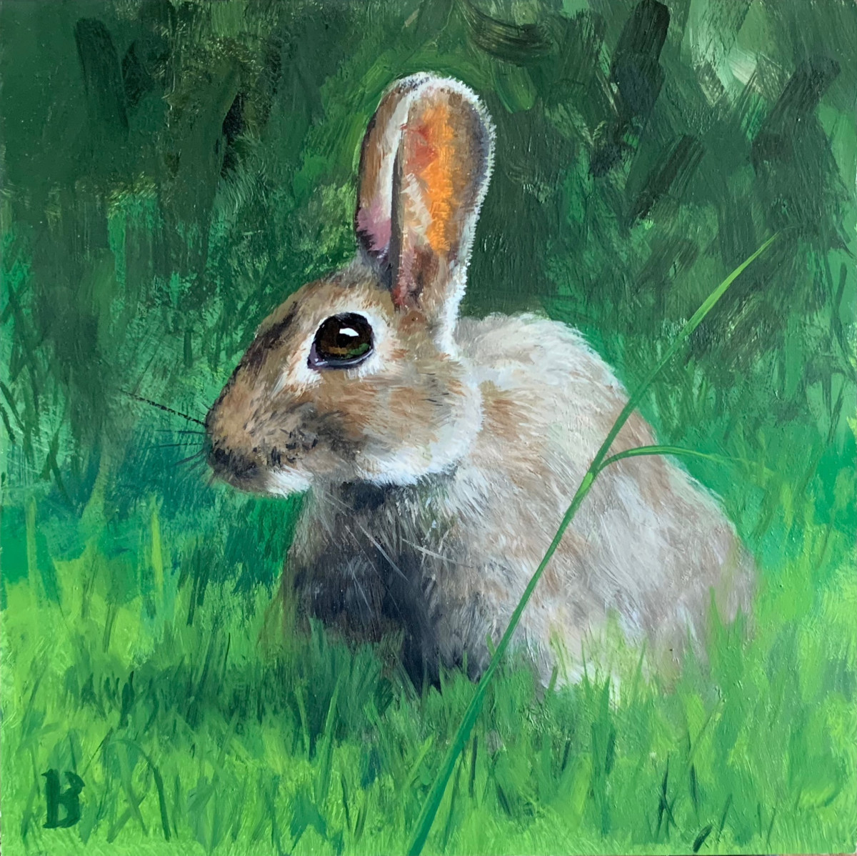 Rabbit by Paul Beckingham 