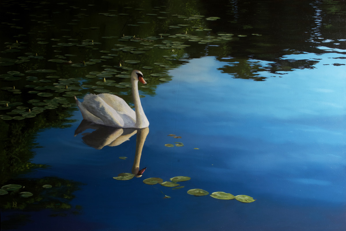 ❑ Swan in Last Light by Paul Beckingham 