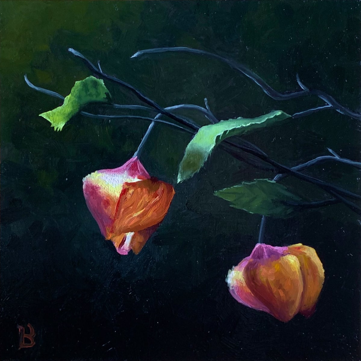 Chinese Lantern by Paul Beckingham 