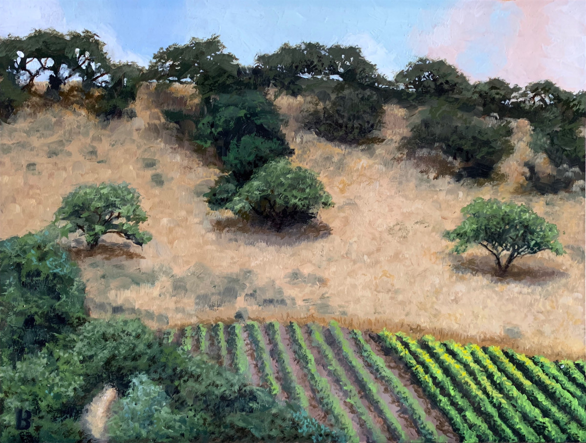 Solvang Vineyard by Paul Beckingham 