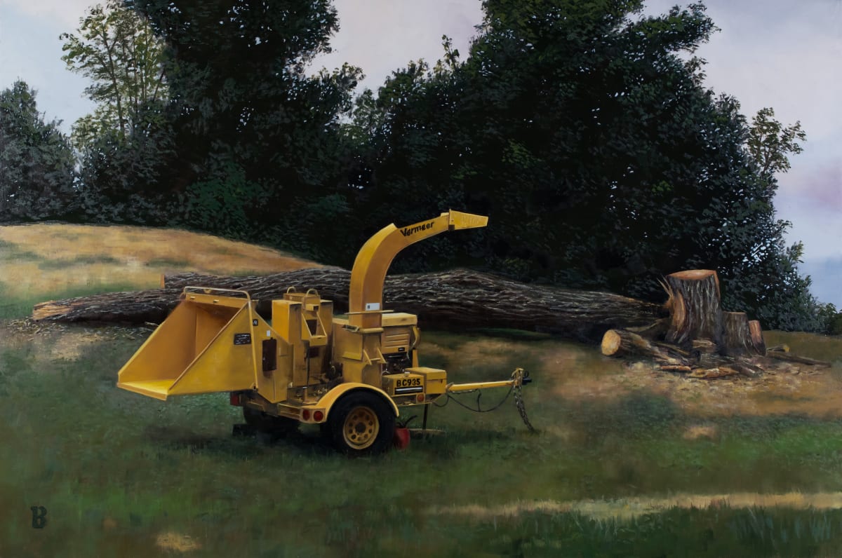 BC935 'Lucida' by Paul Beckingham 