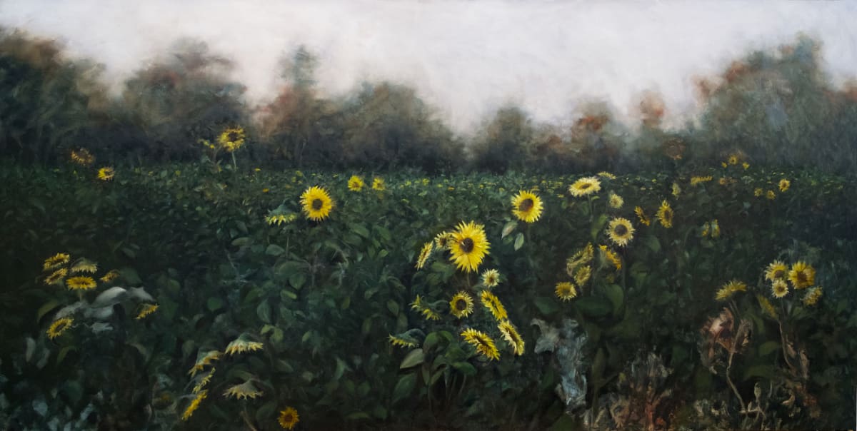 ❑ Georgia Sunflowers by Paul Beckingham 