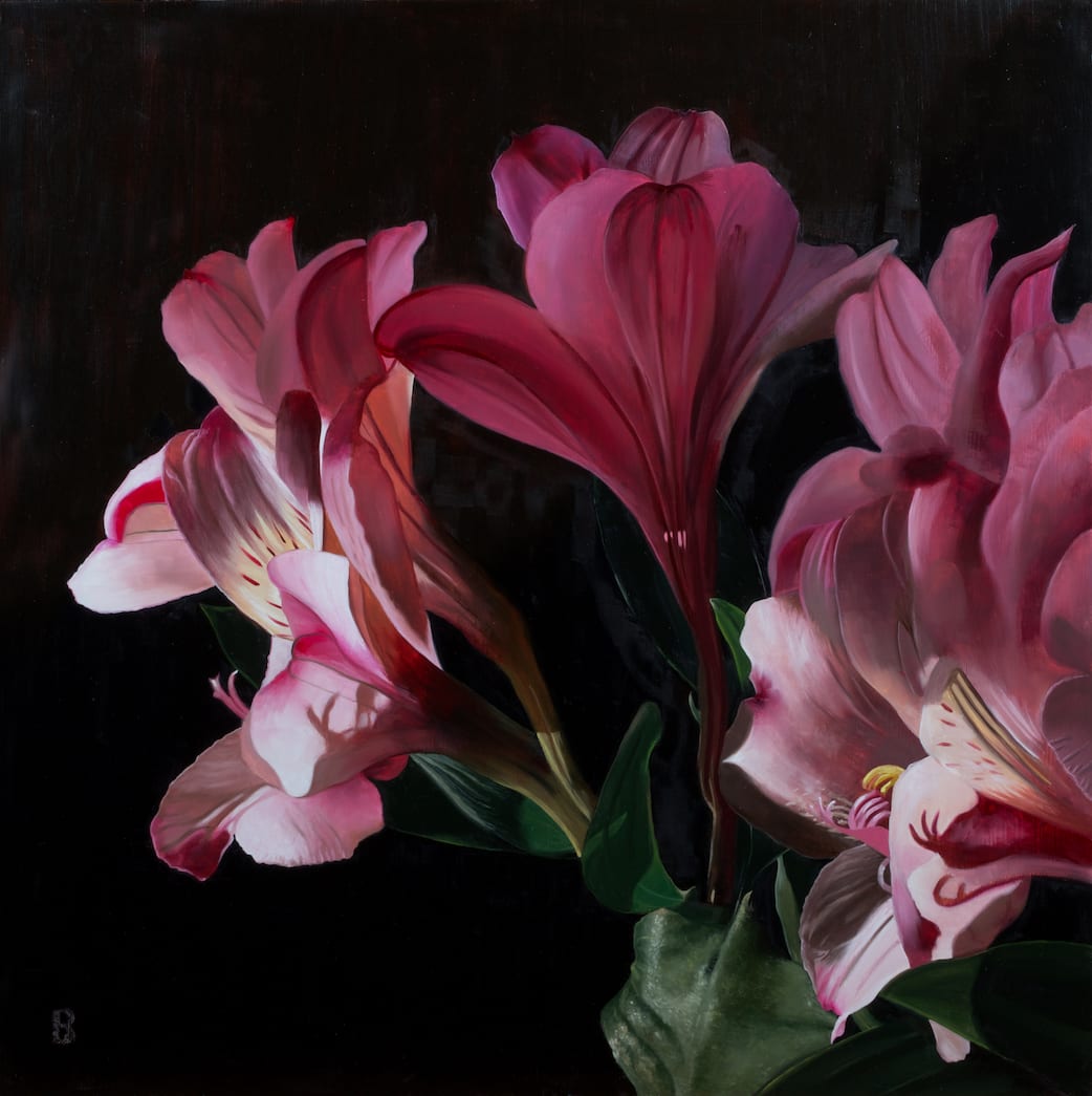 Alstroemeria by Paul Beckingham 