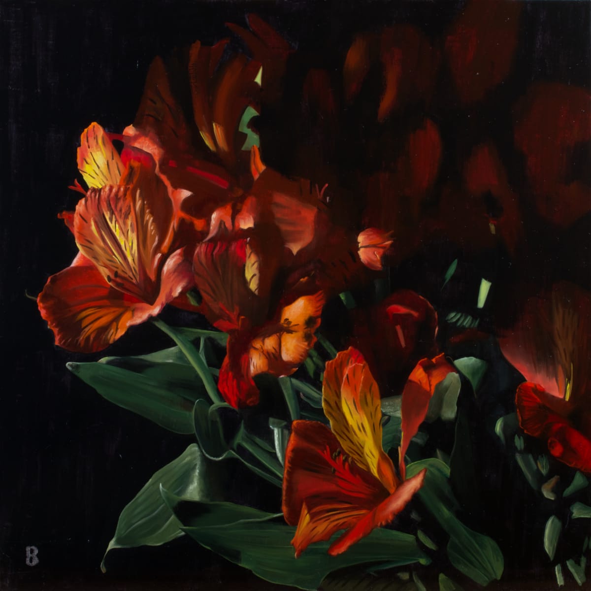 Peruvian Lily by Paul Beckingham 