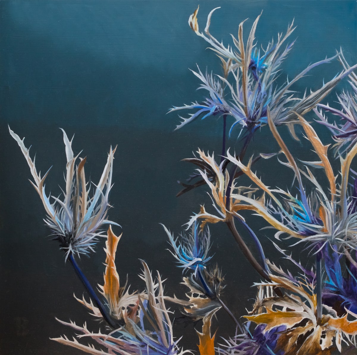 Eryngium II by Paul Beckingham 