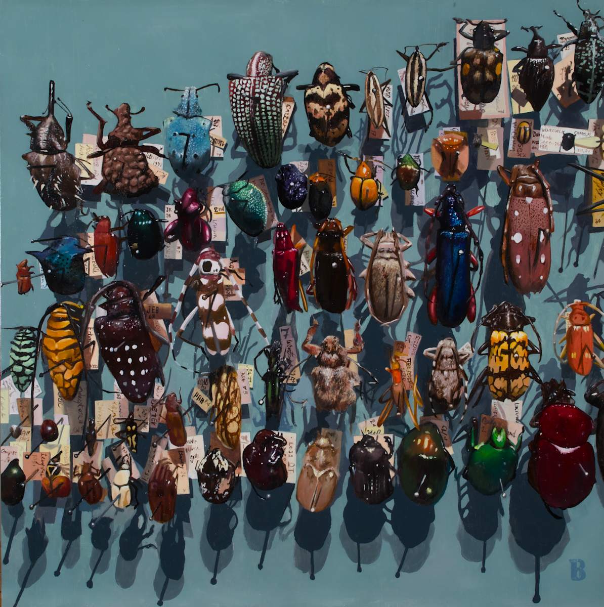 Coleoptera III by Paul Beckingham 