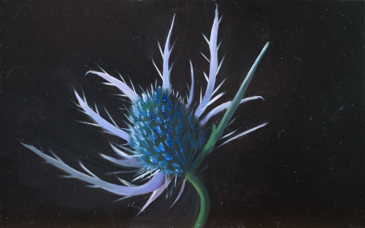 Eryngium III by Paul Beckingham 