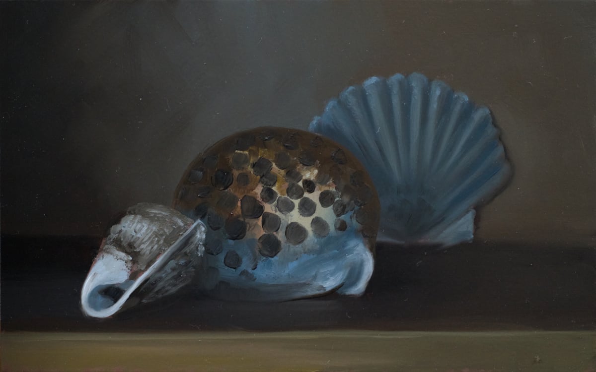 Sea Shells by Paul Beckingham 