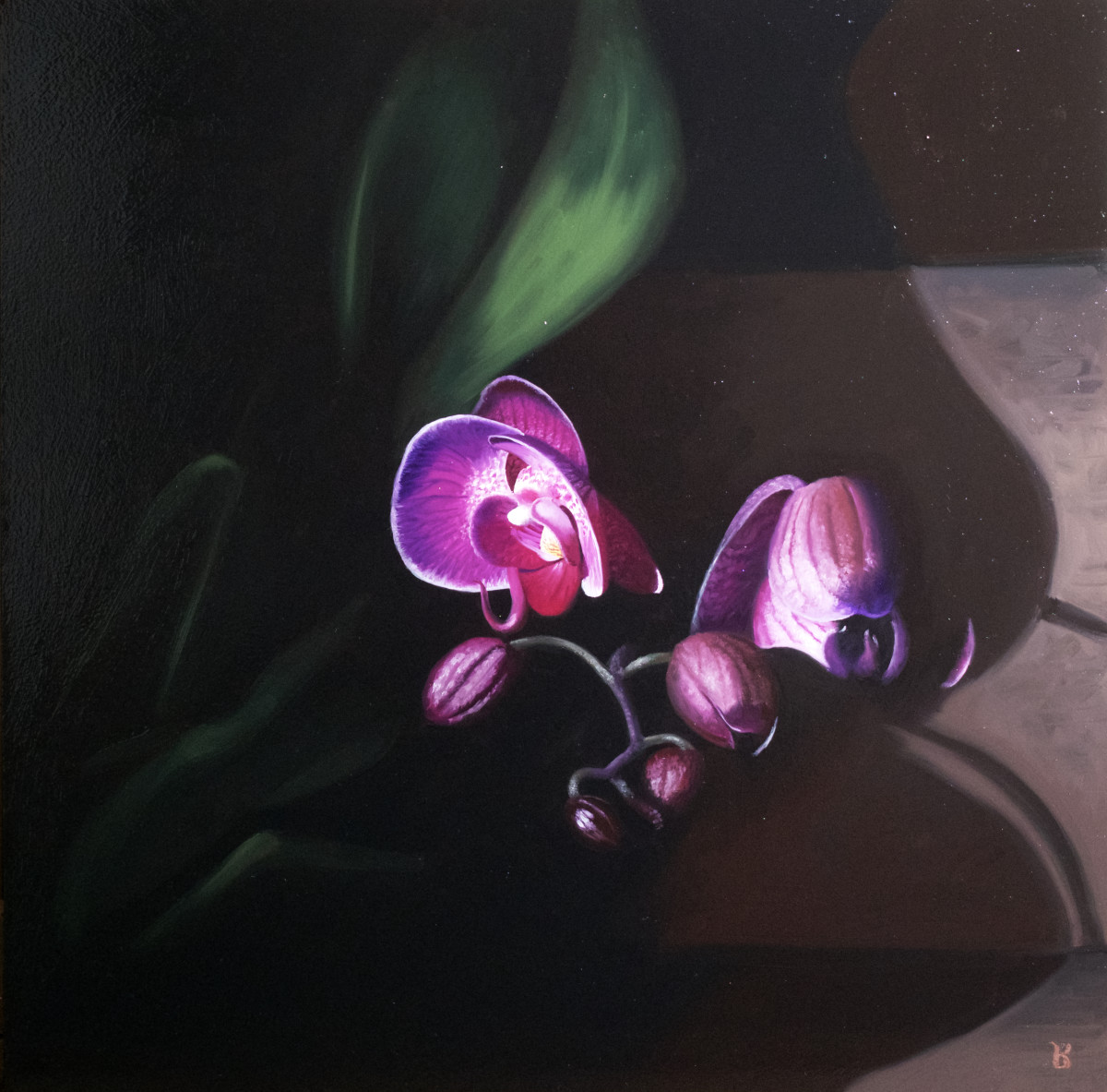 Qi's Orchid Blooms by Paul Beckingham 