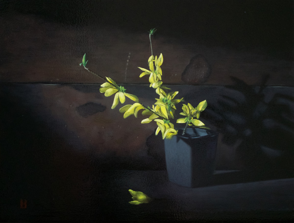 Forsythia by Paul Beckingham 